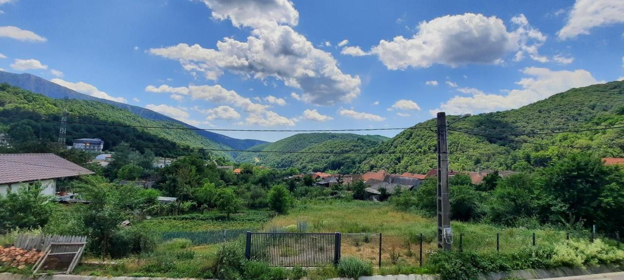 Telteu Florian Hotel Дубова Екстериор снимка